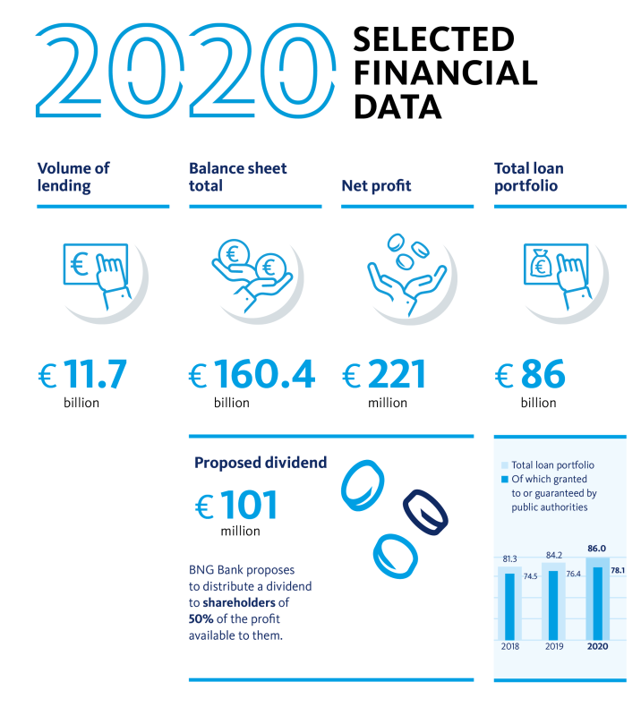 Selected financial data BNG Bank 2020